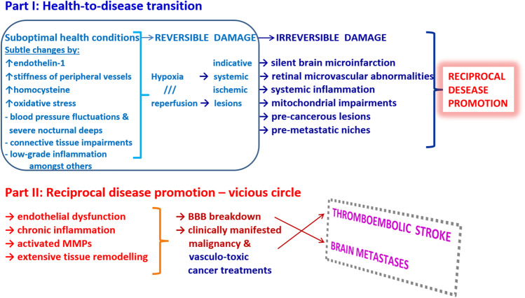 Ischemic stroke of unclear aetiology: a case-by-case analysis and call for a multi-professional predictive, preventive and personalised approach.