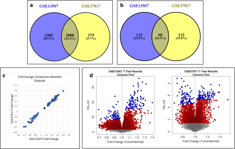 Six potential biomarkers for bladder cancer: key proteins in cell-cycle division and apoptosis pathways.