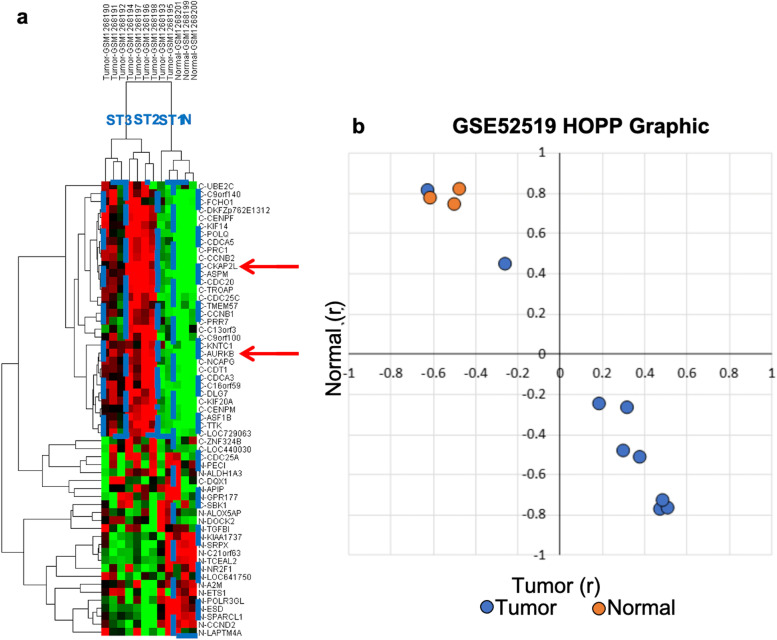 Six potential biomarkers for bladder cancer: key proteins in cell-cycle division and apoptosis pathways.