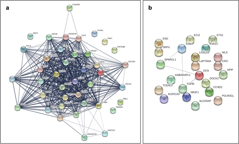 Six potential biomarkers for bladder cancer: key proteins in cell-cycle division and apoptosis pathways.