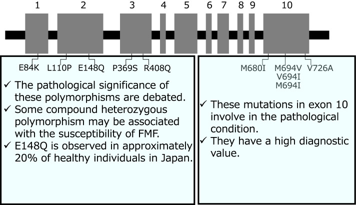 Autoinflammatory disease: clinical perspectives and therapeutic strategies.