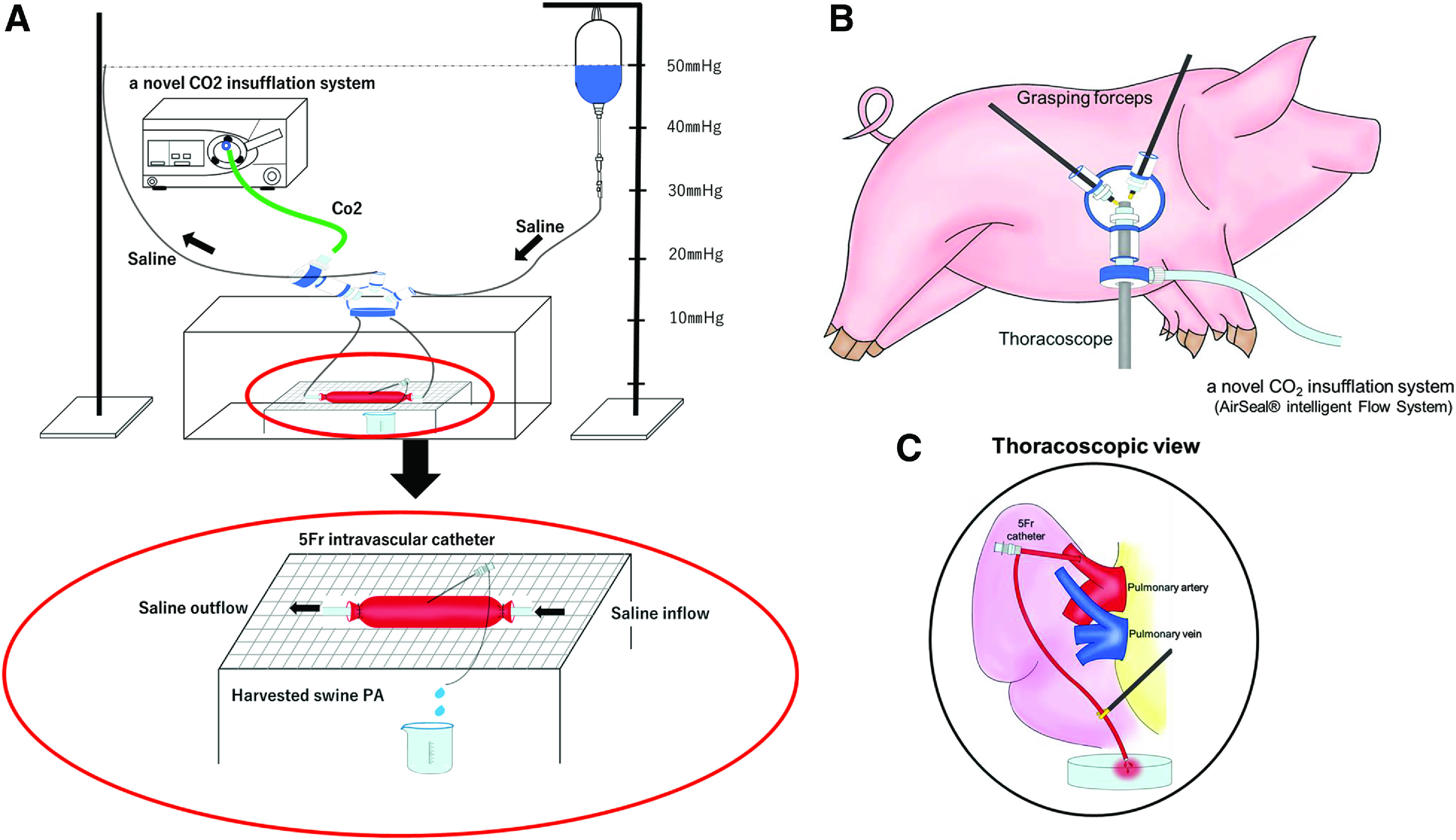 Positive Intrapleural Pressure with Carbon Dioxide May Limit Intraoperative Pulmonary Arterial Bleeding: Verification by Animal Model.