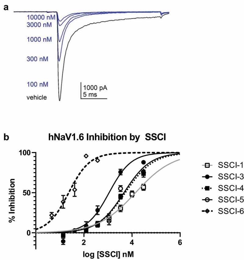 Association of respiratory failure with inhibition of NaV1.6 in the phrenic nerve.