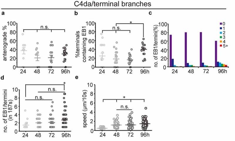 Spatiotemporal changes in microtubule dynamics during dendritic morphogenesis.