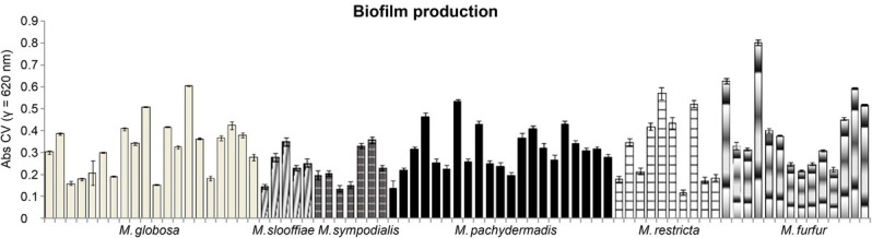 Production and Quantification of Virulence Factors in <i>Malassezia</i> Species.