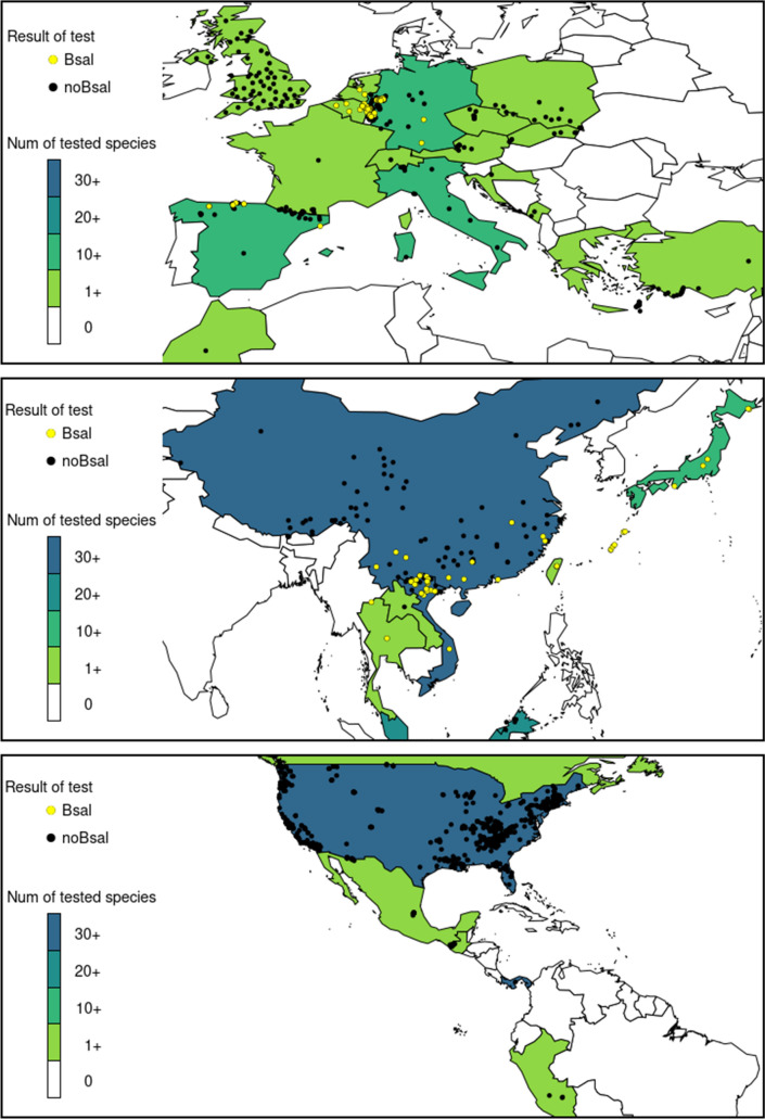 Batrachochytrium salamandrivorans' Amphibian Host Species and Invasion Range.