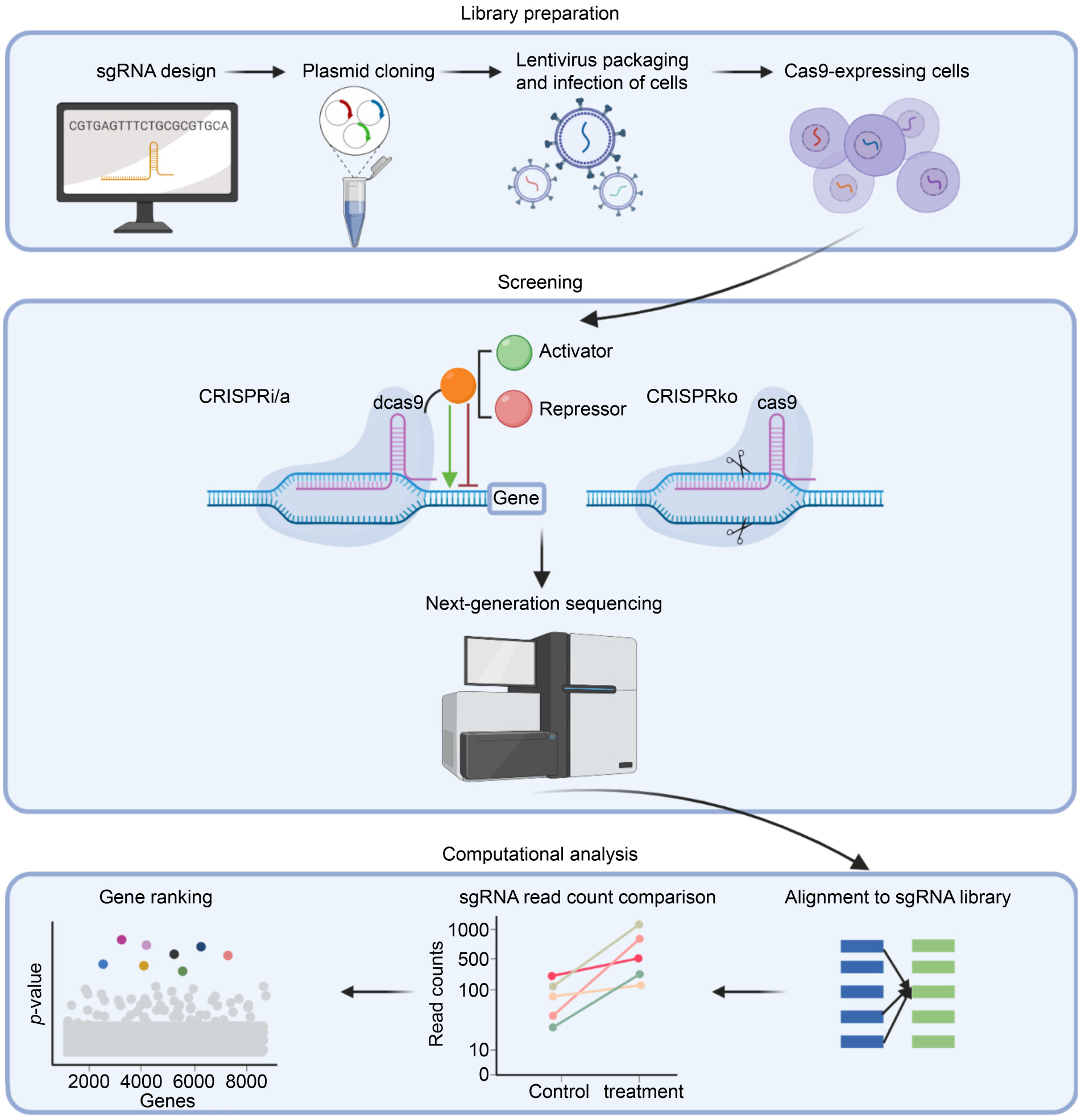 Bioinformatics approaches to analyzing CRISPR screen data: from dropout screens to single-cell CRISPR screens.