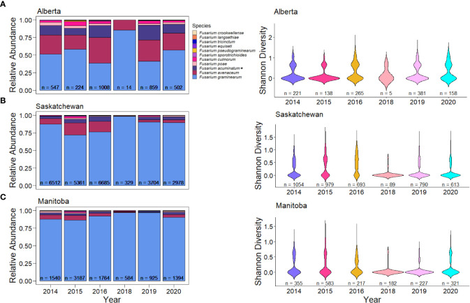 A survey of <i>Fusarium</i> species and ADON genotype on Canadian wheat grain.