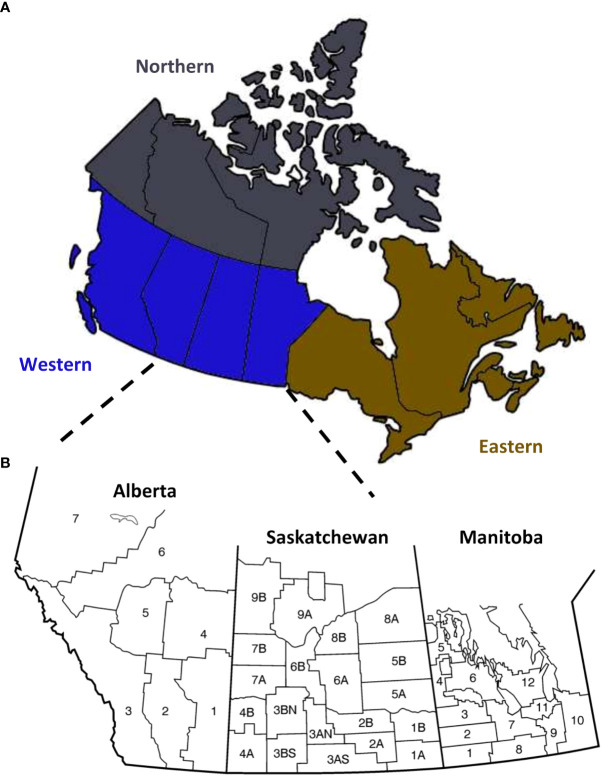 A survey of <i>Fusarium</i> species and ADON genotype on Canadian wheat grain.