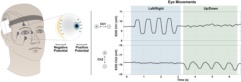 Using Natural Head Movements to Continually Calibrate EOG Signals.