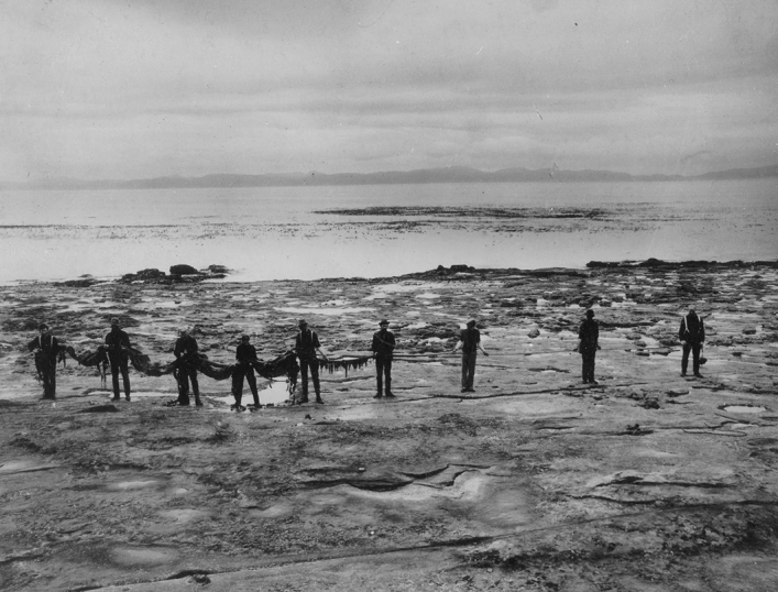 Collaboration, Gender, and Leadership at the Minnesota Seaside Station, 1901-1907.