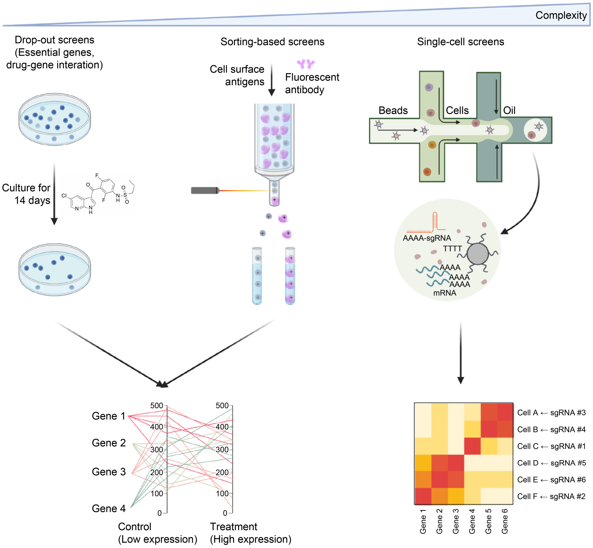 Bioinformatics approaches to analyzing CRISPR screen data: from dropout screens to single-cell CRISPR screens.