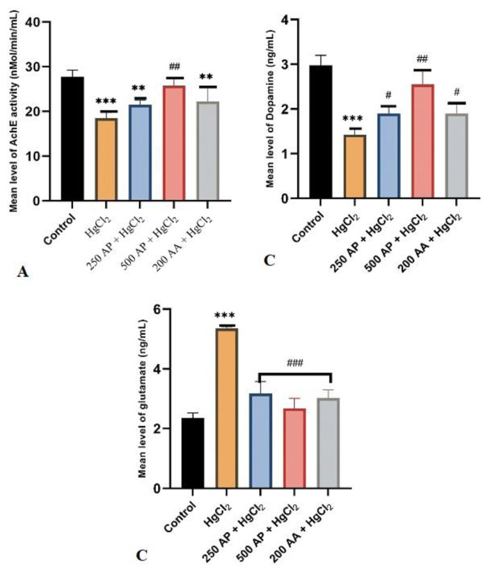 Andrographis paniculata protects against brain hippocampus and cerebellum from mercury chloride induced damage by attenuating oxidative stress.