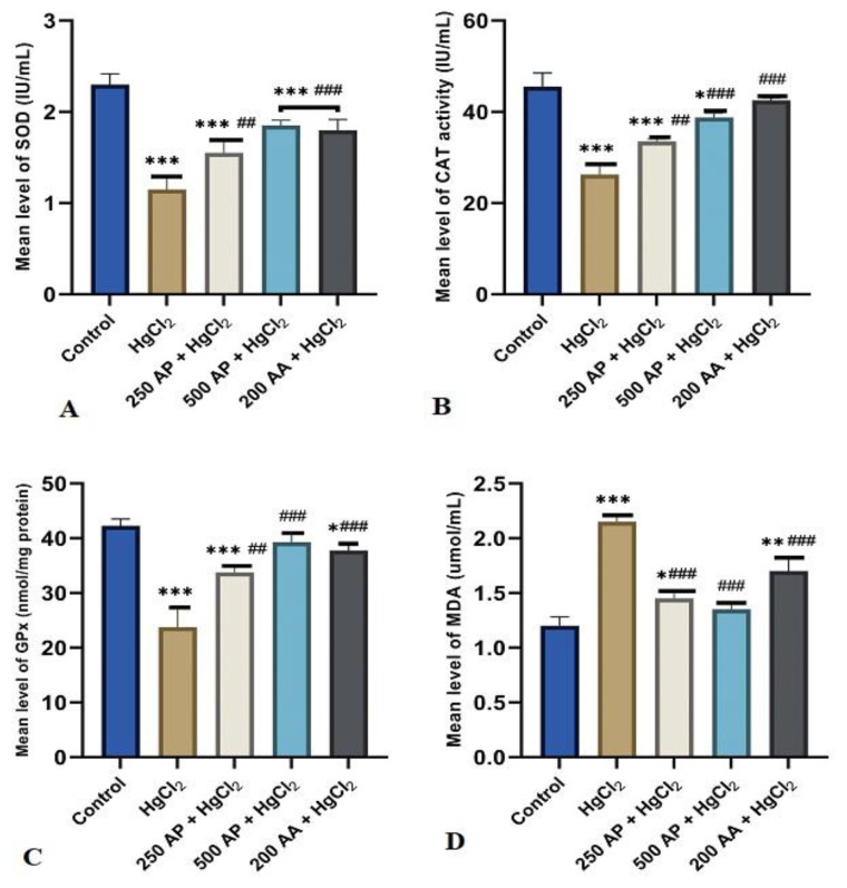 Andrographis paniculata protects against brain hippocampus and cerebellum from mercury chloride induced damage by attenuating oxidative stress.