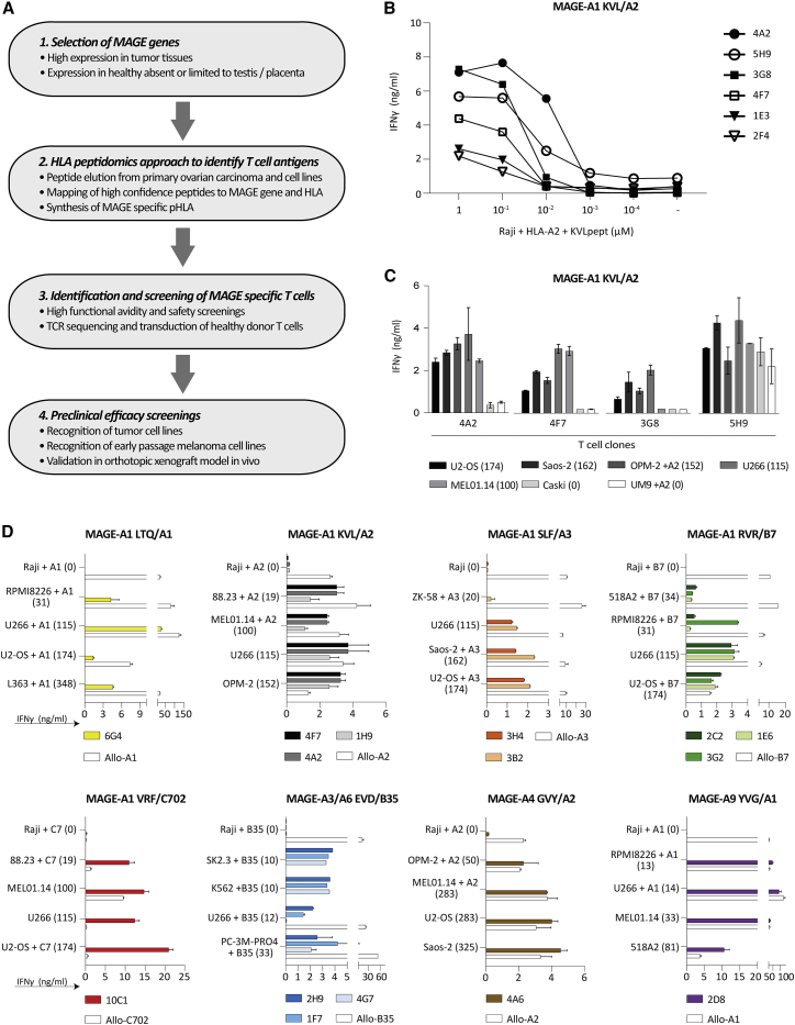 A library of cancer testis specific T cell receptors for T cell receptor gene therapy.