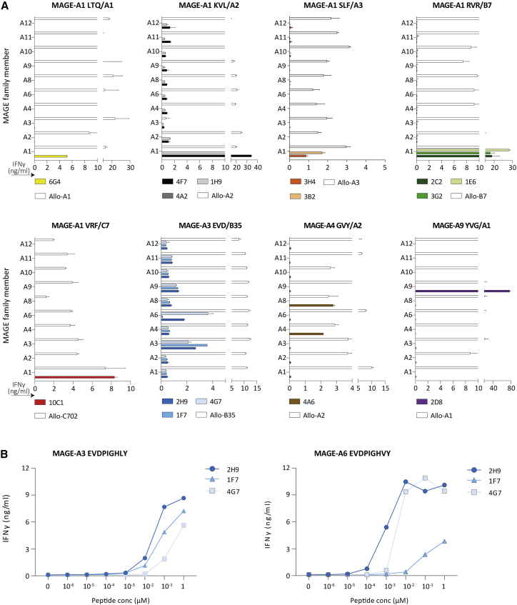 A library of cancer testis specific T cell receptors for T cell receptor gene therapy.