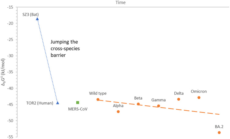 Beyond COVID-19: Do biothermodynamic properties allow predicting the future evolution of SARS-CoV-2 variants?