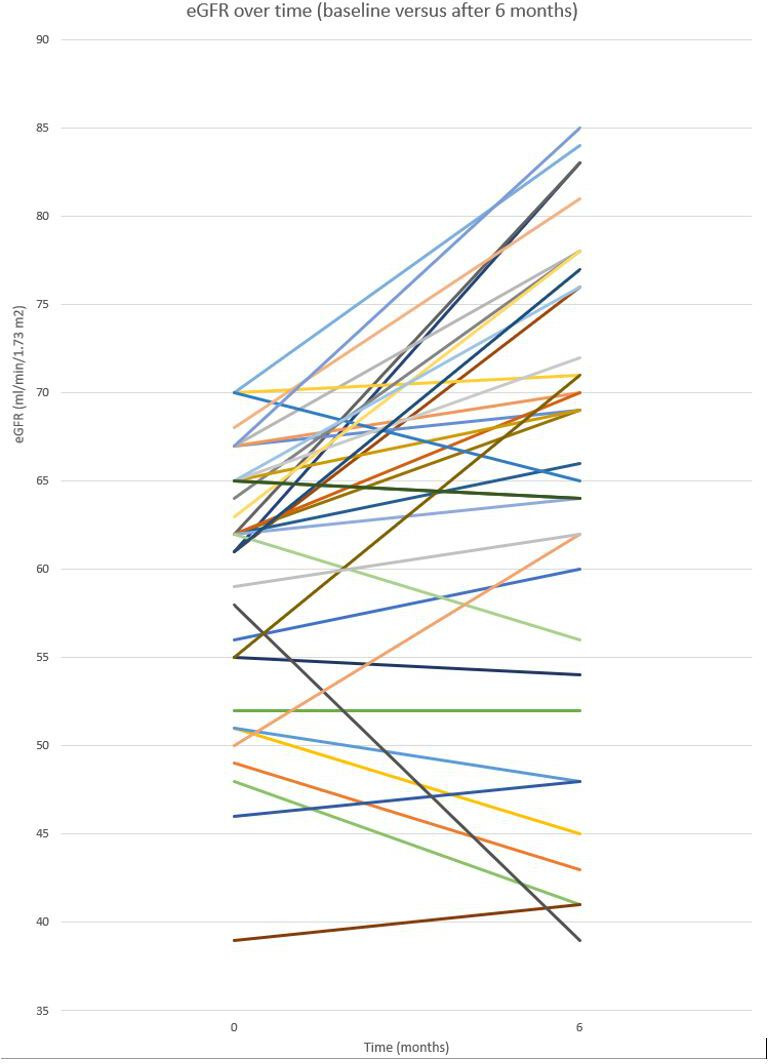 Retrospective analysis on the effect of Reverse Diabetes2 Now on kidney function in patients with type 2 diabetes with impaired kidney function.