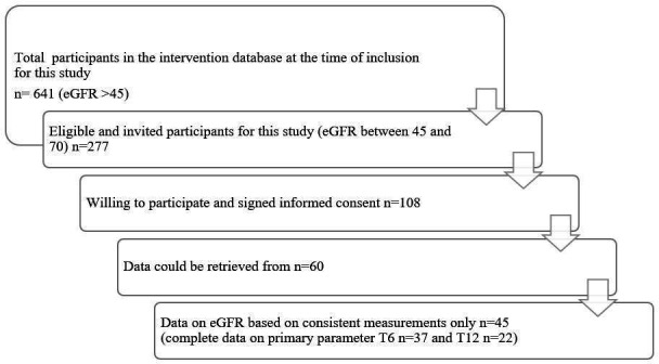 Retrospective analysis on the effect of Reverse Diabetes2 Now on kidney function in patients with type 2 diabetes with impaired kidney function.