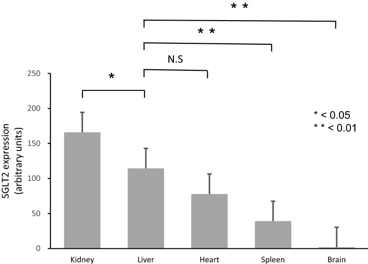 Hepatic expression of sodium-glucose cotransporter 2 (SGLT2) in patients with chronic liver disease.