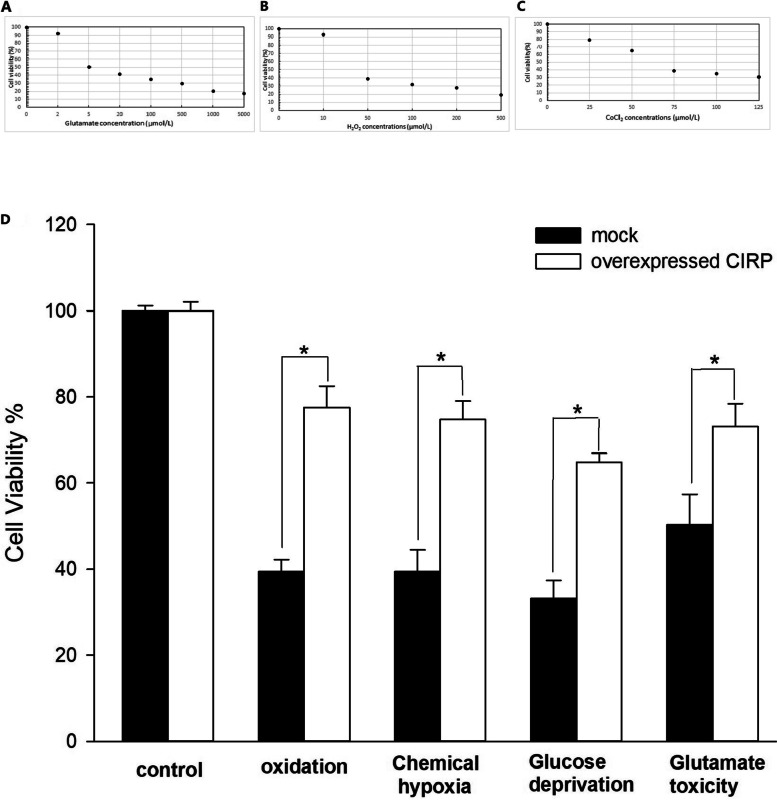 Overexpressed cold inducible RNA-binding protein improves cell viability and EGF expression in glial cells.