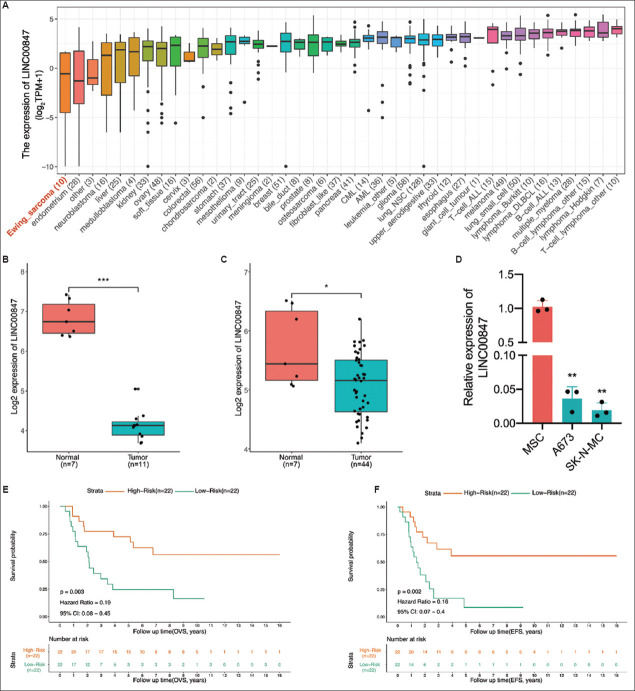 Bone marrow mesenchymal stem cell-derived exosomal LINC00847 inhibits the proliferation, migration, and invasion of Ewing sarcoma.