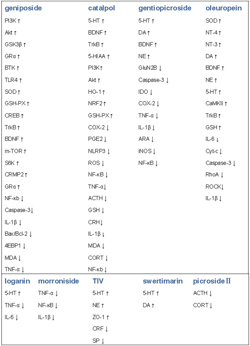 Therapeutic potential of plant iridoids in depression: a review.