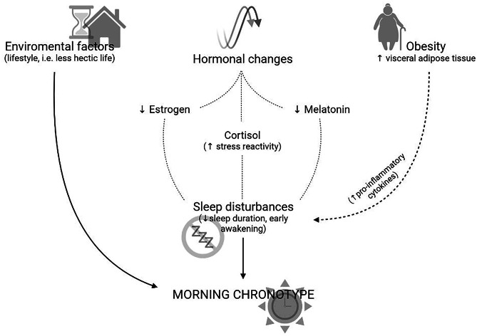 Chronotype and Sleep Quality in Obesity: How Do They Change After Menopause?