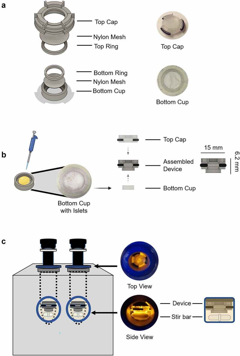 Stabilization protects islet integrity during respirometry in the Oroboros Oxygraph-2K analyzer.