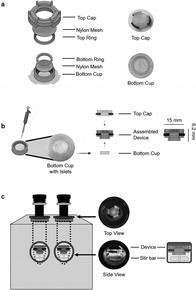 Stabilization protects islet integrity during respirometry in the Oroboros Oxygraph-2K analyzer.