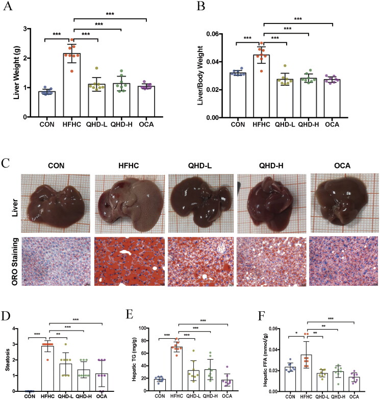 Qushi Huayu decoction attenuated hepatic lipid accumulation via JAK2/STAT3/CPT-1A-related fatty acid β-oxidation in mice with non-alcoholic steatohepatitis.