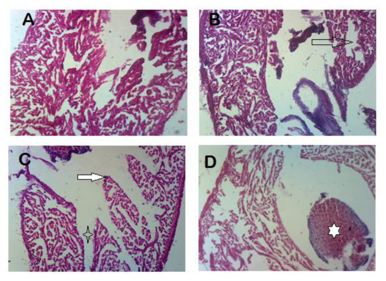 Combinations of cypermethrin and dimethoate alter behavior, hematology and histology of African Catfish, Clarias gariepinus.