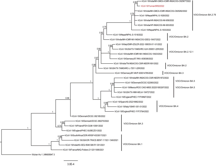 An imported human case with the SARS-CoV-2 Omicron subvariant BA.2.75 in Yunnan Province, China