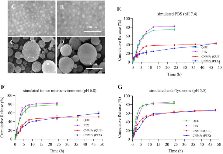 A novel ligand-modified nanocomposite microparticles improved efficiency of quercetin and paclitaxel delivery in the non-small cell lung cancer.