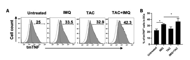 The Therapeutic Effect of Tacrolimus in a Mouse Psoriatic Model is Associated with the Induction of Myeloid-derived Suppressor Cells.