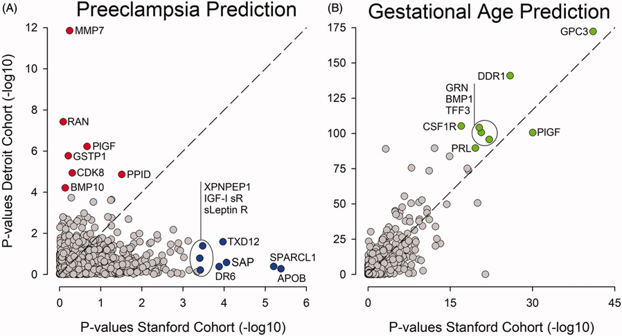 Proteomic signatures predict preeclampsia in individual cohorts but not across cohorts - implications for clinical biomarker studies.