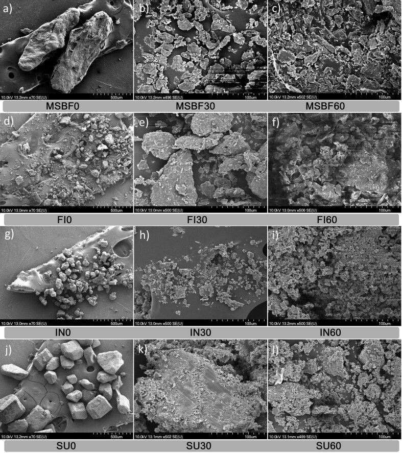 Impact of Short-Time Micronization on Structural and Thermal Properties of Sugar Beet Fibre and Inulin.