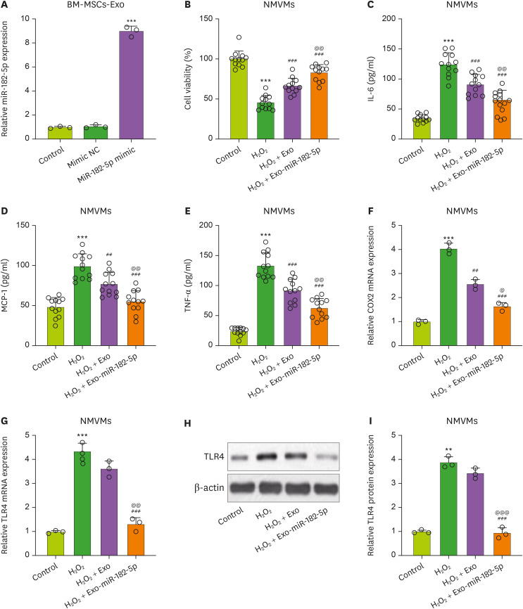 MiR-182-5p Mediated by Exosomes Derived From Bone Marrow Mesenchymal Stem Cell Attenuates Inflammatory Responses by Targeting TLR4 in a Mouse Model of Myocardial Infraction.