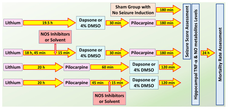 Dapsone Protects Against Lithium-Pilocarpine-Induced Status Epilepticus in Rats through Targeting Tumor Necrosis Factor-α and Nitrergic Pathway.