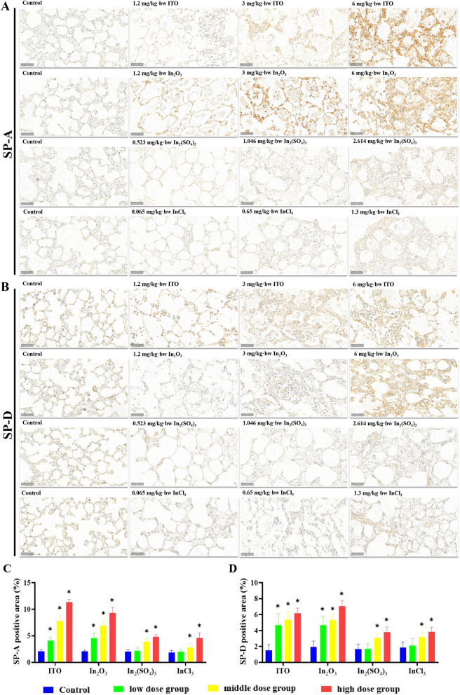 Pulmonary effects of exposure to indium and its compounds: cross-sectional survey of exposed workers and experimental findings in rodents.