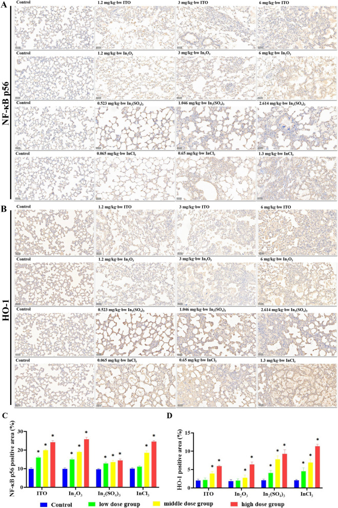 Pulmonary effects of exposure to indium and its compounds: cross-sectional survey of exposed workers and experimental findings in rodents.