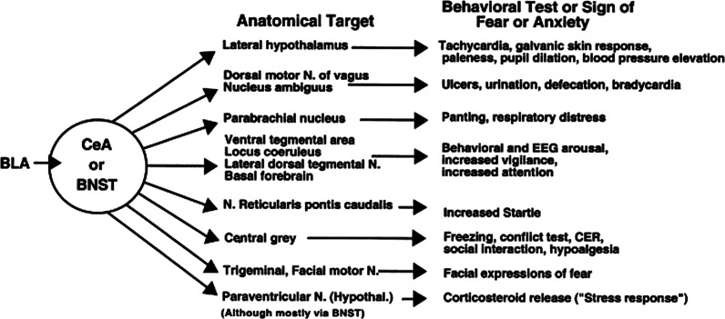 Negative valence systems: sustained threat and the predatory imminence continuum.