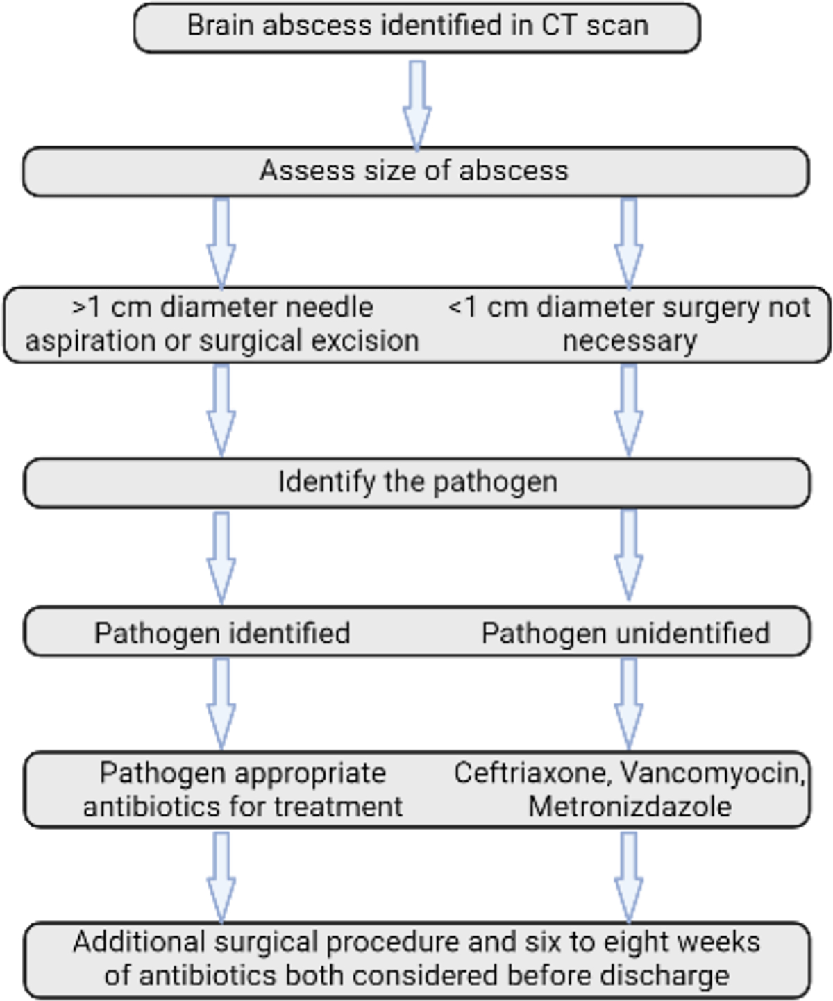 Dental Infections and Risk for Brain Abscess: A Literature Review.