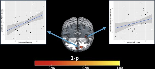 Perspective-taking is associated with increased discriminability of affective states in the ventromedial prefrontal cortex.