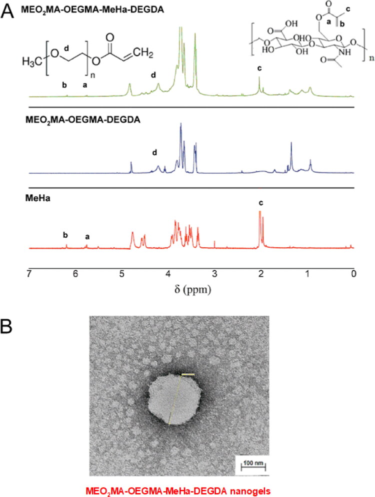 Enzyme-triggered- and tumor-targeted delivery with tunable, methacrylated poly(ethylene glycols) and hyaluronic acid hybrid nanogels.