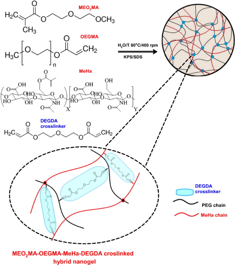 Enzyme-triggered- and tumor-targeted delivery with tunable, methacrylated poly(ethylene glycols) and hyaluronic acid hybrid nanogels.