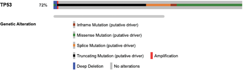 Exosomal microRNAs Targeting <i>TP53</i> Gene as Promising Prognostic Markers for Head and Neck Squamous Cell Carcinoma.