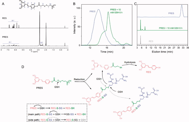 GSH-responsive poly-resveratrol based nanoparticles for effective drug delivery and reversing multidrug resistance.