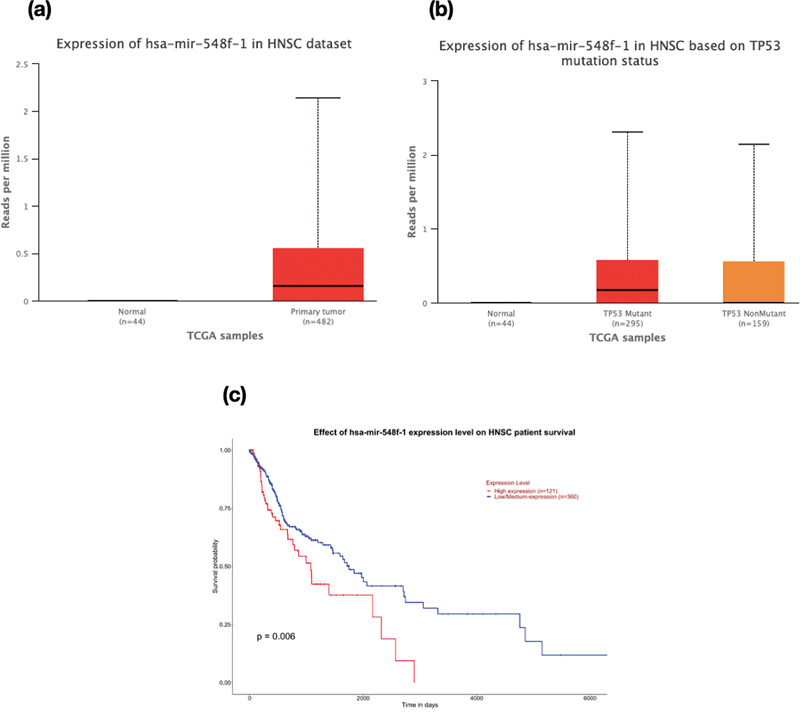 Exosomal microRNAs Targeting <i>TP53</i> Gene as Promising Prognostic Markers for Head and Neck Squamous Cell Carcinoma.