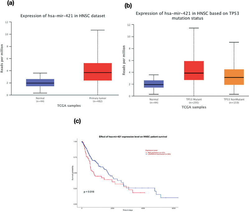 Exosomal microRNAs Targeting <i>TP53</i> Gene as Promising Prognostic Markers for Head and Neck Squamous Cell Carcinoma.